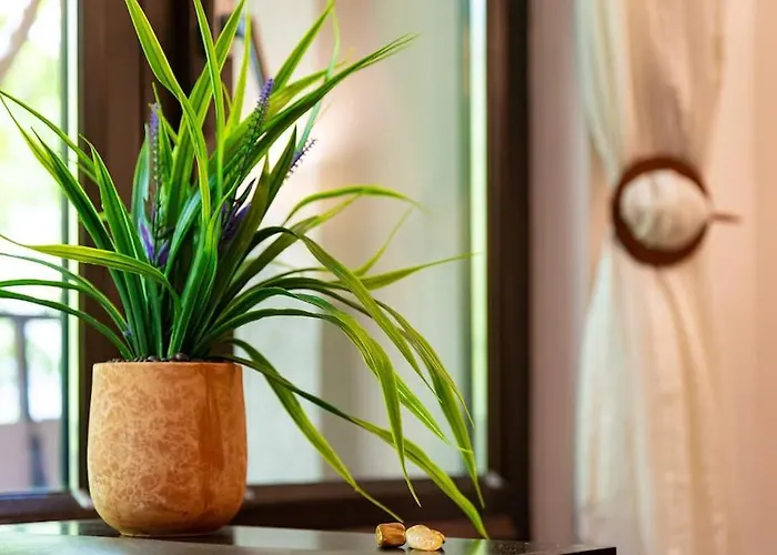 Quiet In Ricky * Płowdiw