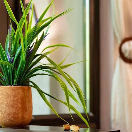 Quiet In Ricky * 플로브디프